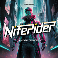Never Back Down - Niterider