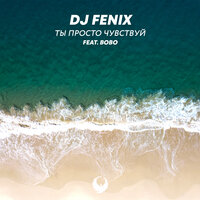 Ты просто чувствуй - DJ Fenix & Bobo