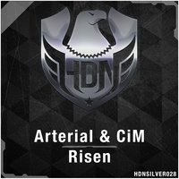 Risen - Arterial & CiM & Arterial & Cim