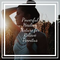 Just Harmony - Healing Power Natural Sounds Oasis