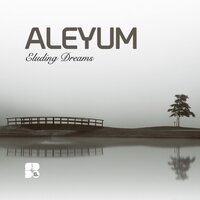 Rushing West - Aleyum