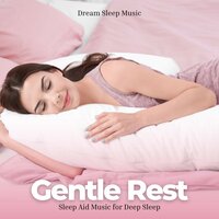 Tranquil Sleep - Dream Sleep Music