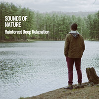 The coming Rain - Nature Ambience & Nature Sounds Nature Music & Sounds of Nature Noise