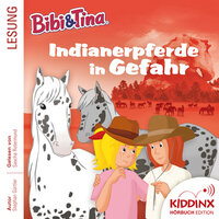 Kapitel 82: Indianerpferde in Gefahr - Bibi und Tina