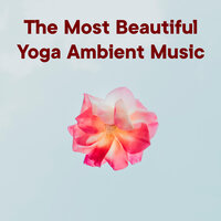 The Most Beautiful Yoga Ambient Music, Vol. 1 - The Healing Project & Schola Camerata
