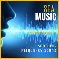 High Fidelity Music - Nature Recordings & Relaxing Music For Sleeping & Study Playlist