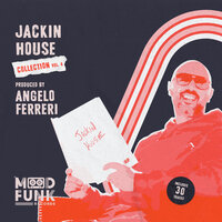 Could You Play - Angelo Ferreri & Red Met