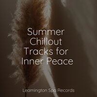 Starting Today - Study Concentration & Yoga Trainer & Sleep Sounds