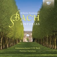 I. Larghetto - Un poco allegro - Carl Philipp Emanuel Bach Chamber Orchestra & Вильгельм Фридеман Бах