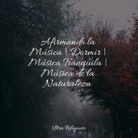Relájate en Las Olas - Jazz Para Crianças & Sonidos De Truenos y Lluvia & Meditar Profundamente