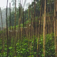 Pausas De Descanso - Música de la Naturaleza & Ioga & Unidad de música zen relajante