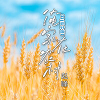 俺家在农村 - 赵峰