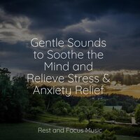Whispers in the Wind - Meditation Awareness & Reiki Music & Sounds of Nature White Noise for Mindfulness Meditation and Relaxation