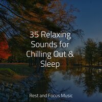 Easy Sleep - Meditação Maestro & Spa & Spa & Regengeräusche