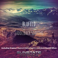 Saddleback Soaring - Blufeld & T.F.F. & Steve Carniel