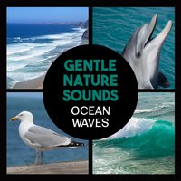 Morning Yoga Routine - Healing Ocean Waves Zone