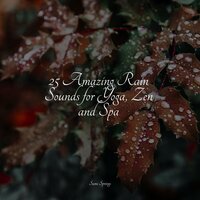 Wet Glass Rains - Meditation Music Experience & Oasis de Détente et Relaxation & SleepTherapy