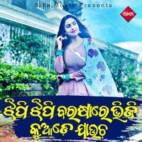 Jhipi Jhipi Barasare Bhiji Kuade Jaucha - SRICHARANA MOHANTY
