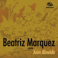 Este camino largo - Beatriz Marquez