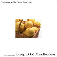 Sleepy Melodies for Mental Wellness - Sleep BGM Mindfulness