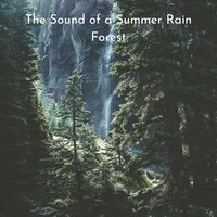 Sleep Weather - Rain Sounds & The Nature Soundscapes & Study Alpha Waves