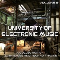Tomtation - Sasch BBC