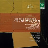 In punta di respiro - Andrea Marcolini & Andrea Miazzon