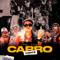 Carro Forte - DJ Biel Bolado & Pecora