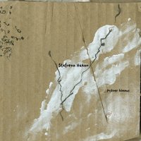 B.S.T. - Stafrænn Hákon