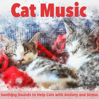 The Best Relaxing Cat Music - Cat Music Dreams & Relax My Kitten & RelaxMyCat
