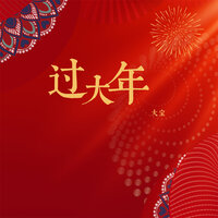 过大年 - 大宝