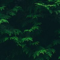 出现又离开 - 轻音博物馆