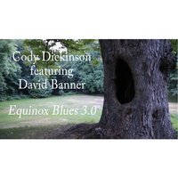Equinox Blues 3.0 - David Banner & Cody Dickinson
