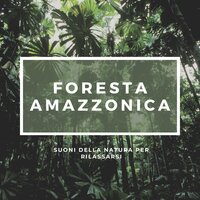 Rilassamento profondo - Nature Relax