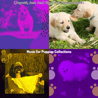 Dream-Like Puppies - Music for Puppies Collections