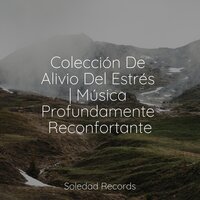Sonidos De Salvia - Sonidos de lluvia para dormir & Massagem Guru & Relajar