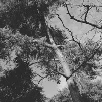 Calm Anxiety - Sunday Morning Jazz Playlist