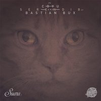 Satara - Coyu