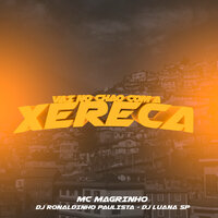 Vai no Chão Com a Xereca - DJ Luana SP & DJ Ronaldinho Paulista & Mc Magrinho