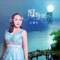 想你就想哭 - 王爱华