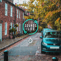 Rain in Car Park Nearby Tree, Pt. 17 - Sounds Of Life