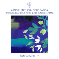 Ficus Carica - Arno E. Mathieu & Beanfield