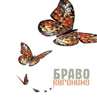Любовь не горит - Браво