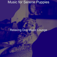 Fantastic Moods for Mans Best Friend - Relaxing Dog Music Lounge