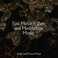 Thinking about Sheep - Monarch Baby Lullaby Institute & Calm shores