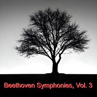 Symphony No. 5 in C Minor, Op. 67: III. Scherzo. Allegro - Trio - NBC Symphony Orchestra & Arturo Toscanini & Ludwig van Beethoven