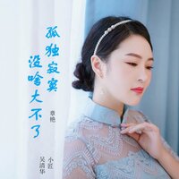 孤独寂寞没啥大不了 - 章艳