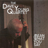 Mean What You Say - Dave Young