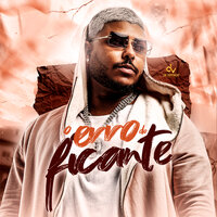 O Erro do Ficante - MC 2jhow