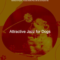 Sunny Dog Walking - Attractive Jazz for Dogs